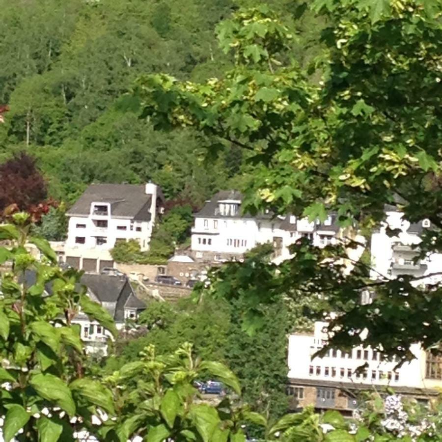 Stadtblick Cochem Exterior foto